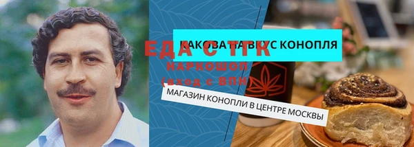 индика Богородицк